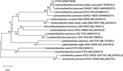 Prebiotics Inulin Metabolism by Lactic Acid Bacteria From Young Rabbits